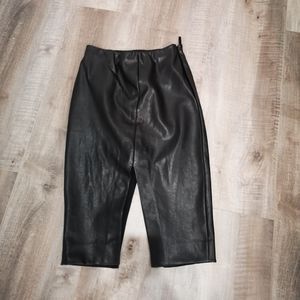 Aritzia Babaton Jax Skirt